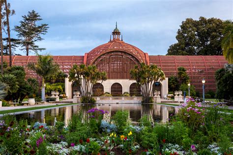 Top San Diego Zoo Tips - From A Former Zoo Employee