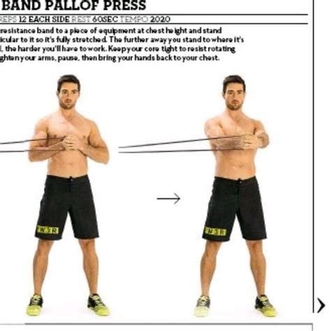 Band Pallof Press by Elizabeth Helmick - Exercise How-to - Skimble