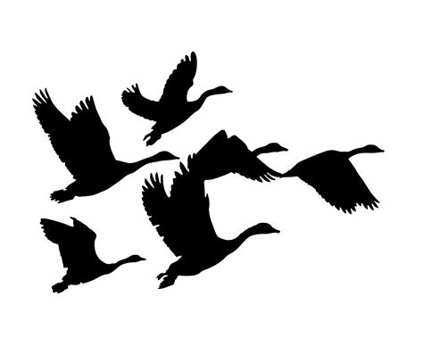 Flying Duck Silhouettes | Free download on ClipArtMag