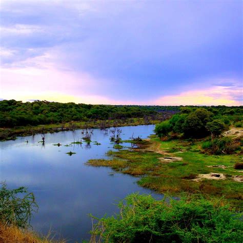 OKAVANGO RIVER: All You Need to Know BEFORE You Go (with Photos)