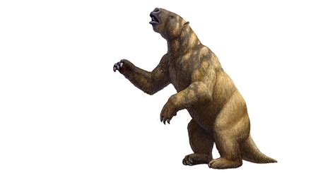 What was Megatherium? | Natural History Museum