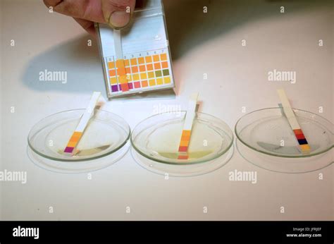 Universal indicator strips for pH value are shown in use on an alcaline ...