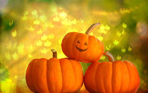 Free Pumpkin Wallpaper Backgrounds - Wallpaper Cave