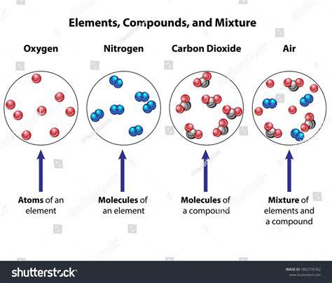 Compounds Compared Mixtures Visual Diagram Molecular Stock Vector ...