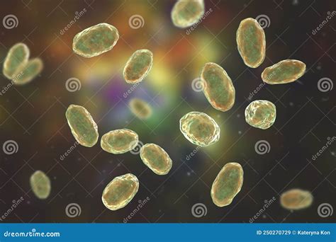 Yersinia Enterocolitica Bacteria Stock Illustration | CartoonDealer.com ...