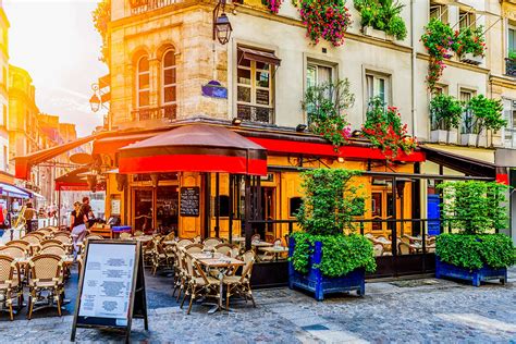 Are Dogs Allowed In Cafes In France