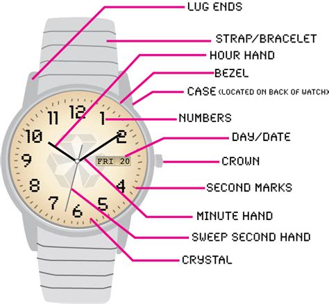 Visual Diagram of a Wrist Watch - Esslinger Watchmaker Supplies Blog