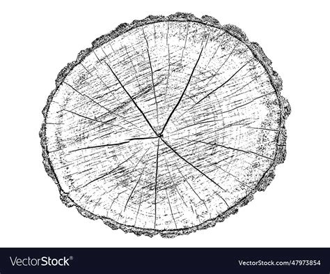 Distressed wood texture Royalty Free Vector Image