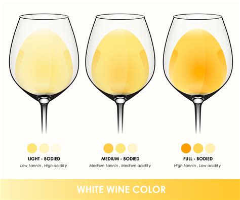 White Wine Guide For Beginners - Best Wine Club