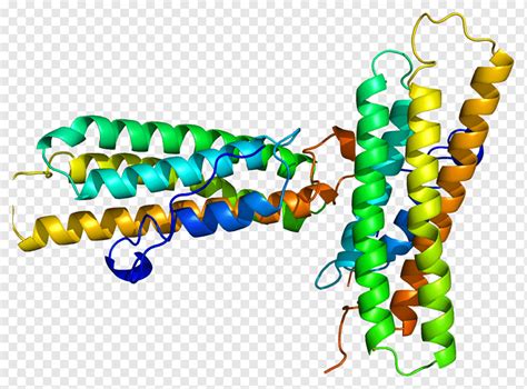 Vinculin-Talin-Protein alpha-Helix-Catenin, Integrin, Alpha-Helix, Korn ...