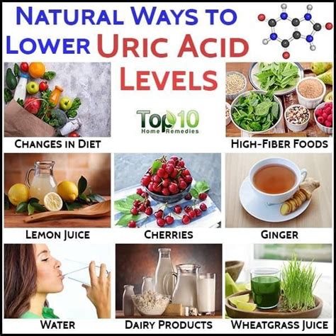 Uric Acid | Uric acid, Uric acid food, Uric acid diet food