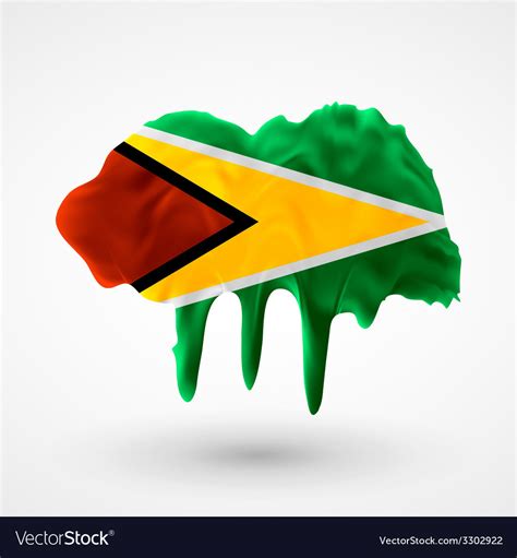 Flag of Guyana painted colors Royalty Free Vector Image