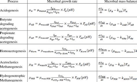 Kinetic equations used in the model | Download Table