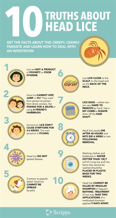 How To Get Rid of Head Lice - Scripps Health