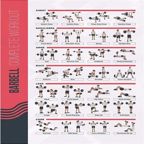 PosterMate FitMate Barbell Workout Exercise Poster - Workout Routine ...