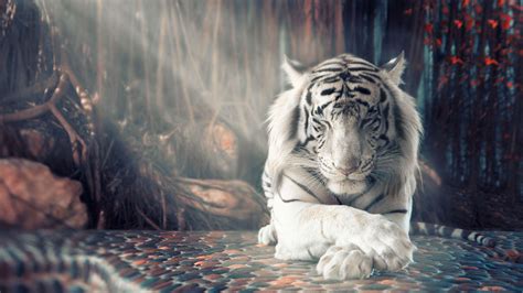 Tiger Art Wallpapers - Top Free Tiger Art Backgrounds - WallpaperAccess