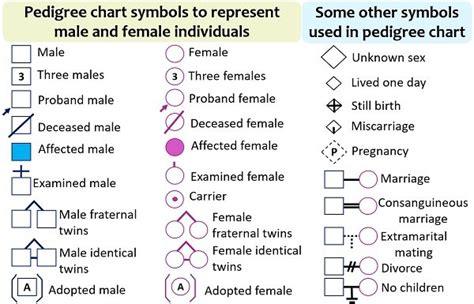 Genetic Pedigree Symbols