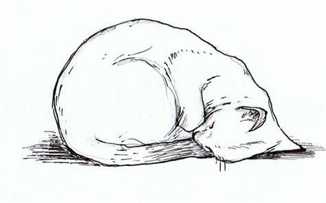 Curled up cat | Cat tattoo, Cat art, Cat artwork