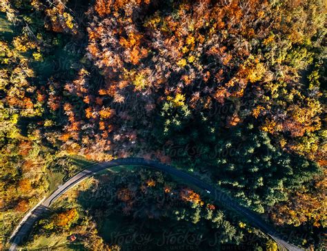 "Forest Road Top View" by Stocksy Contributor "Marco Govel" - Stocksy