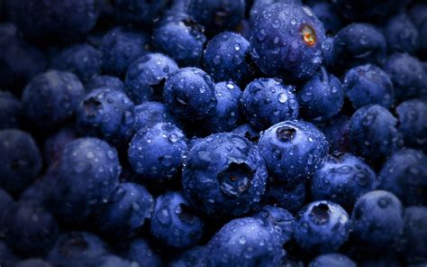 Blueberry Wallpapers - Wallpaper Cave