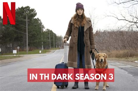 What People Want To Know About In The Dark Season 3