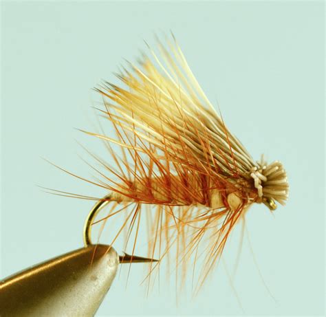 Top 4 Tan Caddis Fly Patterns - The Missoulian Angler Fly Shop