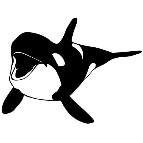 Orca Clip Art Free Vector In Open Office Drawing Svg Wikiclipart | The ...