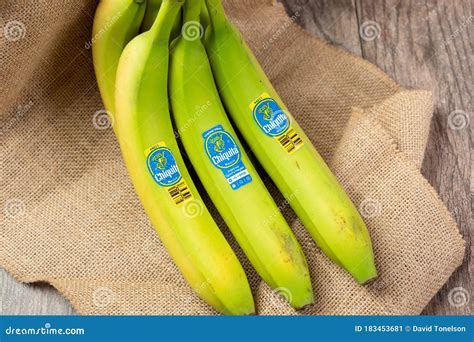 Chiquita bananas editorial photo. Image of ripe, produce - 183453681