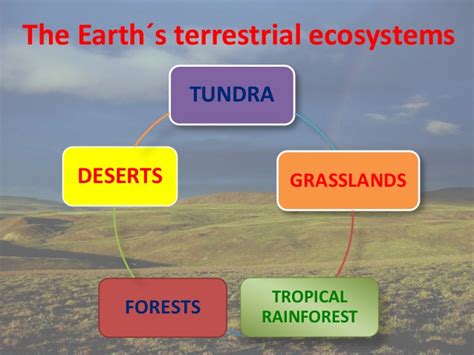 We are scientists!: 5.3. The Earth's terrestrial ecosystems