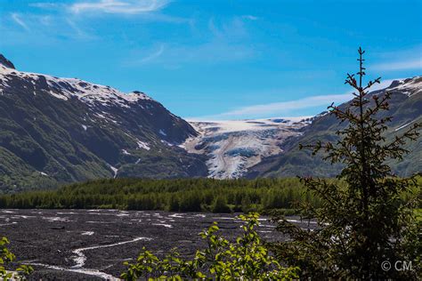 Exit Glacier - Seward Alaska (OC) [6000x4000] : r/EarthPorn