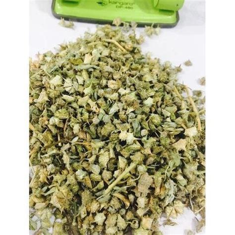 Natural DDRS Gokhru Chota / Gokhru Seeds / Tribulus Terrestris Small ...