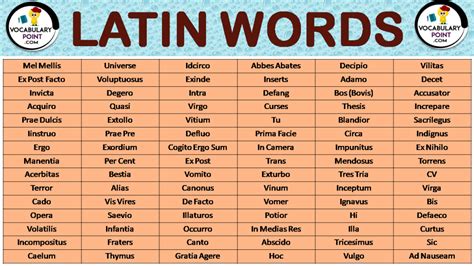 List Of Latin Words - Vocabulary Point