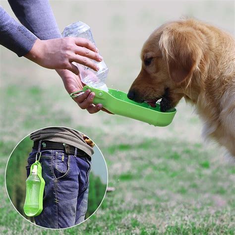 PETOU Portable Dog Travel Water Bottle for WalkingRunning and Hiking ...