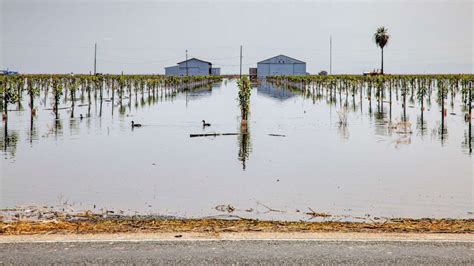 Agricultural fields in California's Tulare Lake Basin could be ...