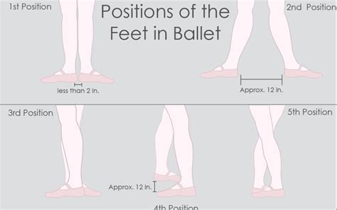 Ballet Terms for Beginners - Dance Classics