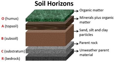 Soil Texture And Soil Structure