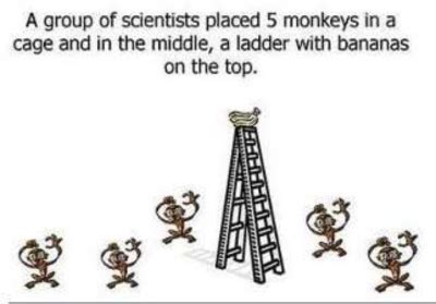 5 Monkeys and a Ladder Experiment