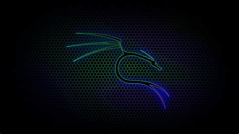 3840x2160px, 4K free download | Kali linux, electric blue, computer ...