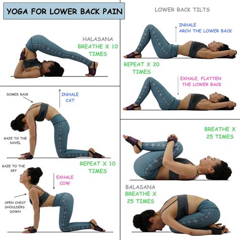 YOGA FOR LOWER BACK PAIN – Elena Miss Yoga