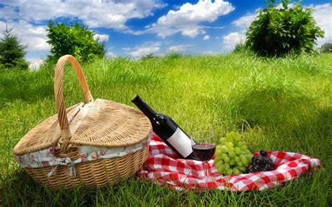 Serene Picnic Scene - HD Wallpaper of Wine and Grapes