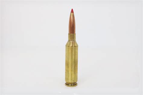 7 Top Modern Long-Range Cartridges - RifleShooter