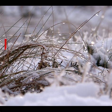 Snow Northern Ireland: When the wintry conditions are set to hit as ...