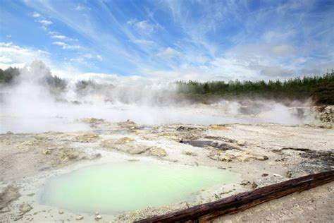 Hells Gate Geothermal Park & Mud Spa | Rotorua Attraction