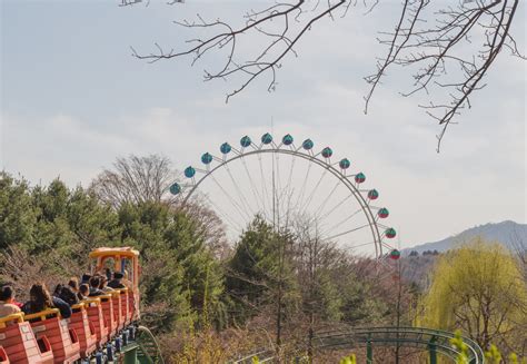 How to Visit Everland Theme Park near Seoul - There She Goes Again