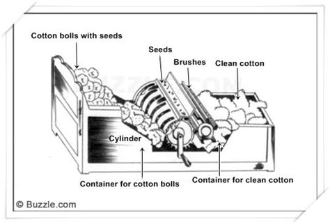 The Cotton Gin Diagram | Cotton gin, Gin history, Gin