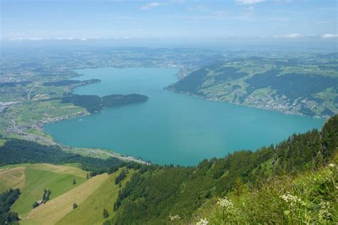 Splash! Here are 8 lakes near Zurich for wild swimming - Newly Swissed ...