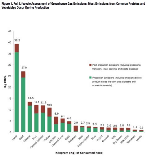 These 10 Foods Have The Biggest Environmental Footprint – True Activist