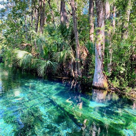 Silver Springs Kayaking and Glass Bottom Boat Tour - impulse4adventure