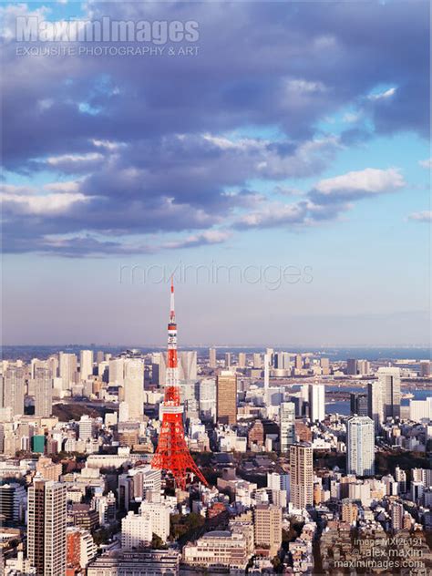 Photo of Tokyo Tower and cityscape under blue sky | Stock Image MXI26191