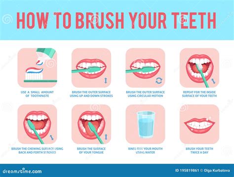 Instruction On How To Brush Your Teeth Correctly. Medical Infographic ...